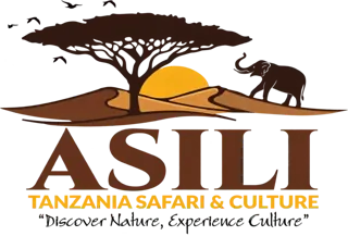 Asili Tanzania Safari & Culture: Discover Nature, Experience Culture